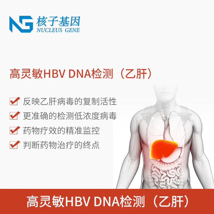 高靈敏HBV DNA檢測（乙肝）