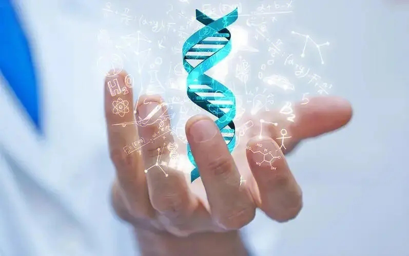 胎兒DNA親子鑒定樣本采集方法